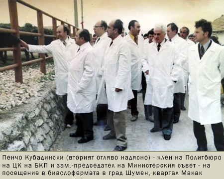 Пенчо Кубадински на посещение в биволофермата в град Шумен, квартал Макак