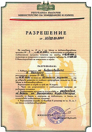 Разрешение за извършване на развъдна дейност с биволи от породата Българска Мурра