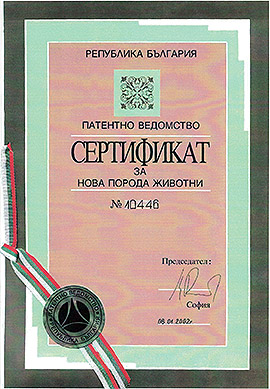 Сертификат за нова порода животни - Българска Мурра